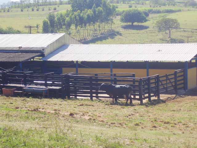 Foto 4 - Fazenda a venda regiao ribeirao preto 68 ha