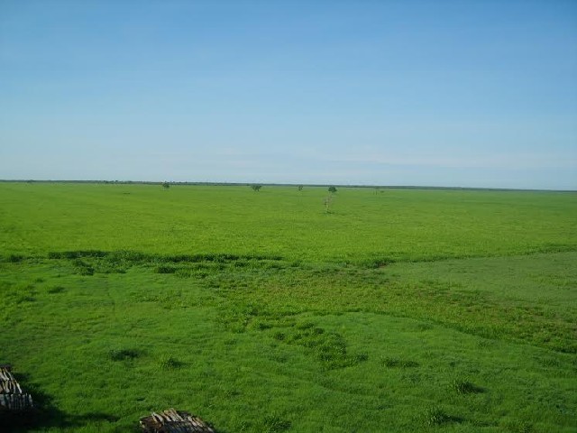 Foto 1 - Venda de fazendas na bahia